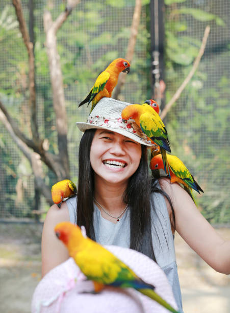 drôle de visage de belle femme asiatique jouant avec des perroquets de conure solaire. - psittacoidea photos et images de collection