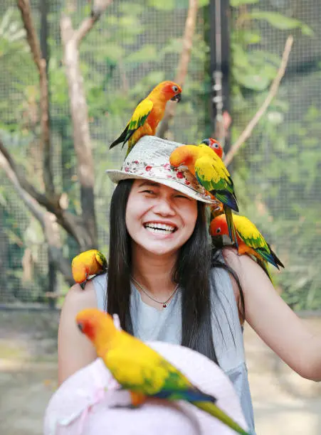 Funny face of beautiful Asian woman playing with sun conure parrots.