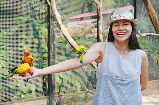 Smiling of beautiful Asian woman playing with sun conure parrots.
