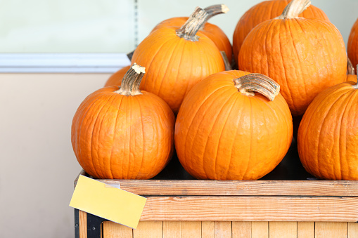 A bunch of large orange pumpkins inside of a wooden crate with a blank sale sign.