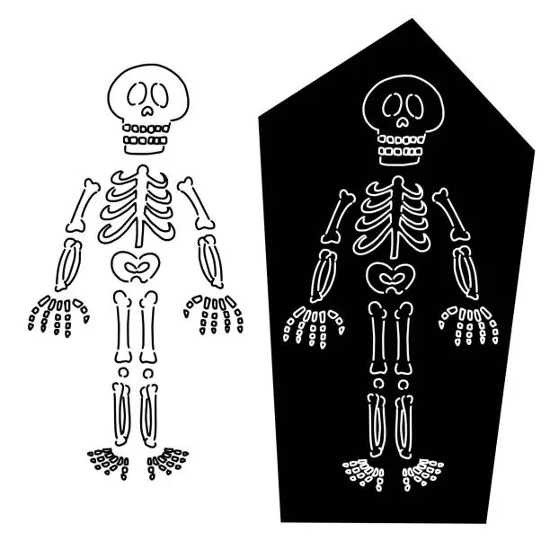 Vector illustration of skeleton and coffin