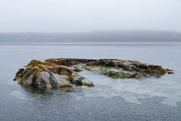 istock Vancouver Island Coastline 1689992116