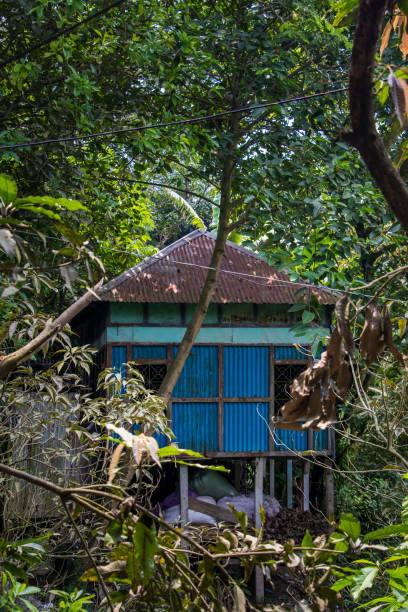 istock Old house in a green nature 1689996196