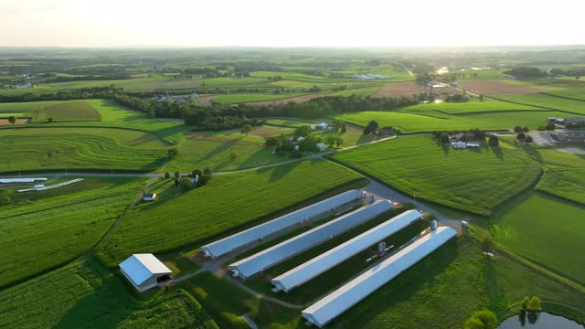 Summer sunset over green fields in rural USA. Aerial reverse dolly shot revealing chicken houses on large agriculture and livestock farm.