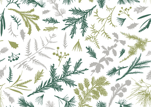 Realistic seamless green Christmas plants and floral vector silhouette botanic designs for use on Christmas cards and promotional advertising.