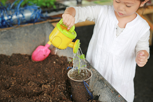 Cute asian child girl planting the tree in pot.