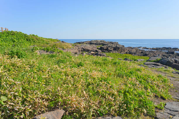 istock Usutaibe Senjouiwa 1690048423