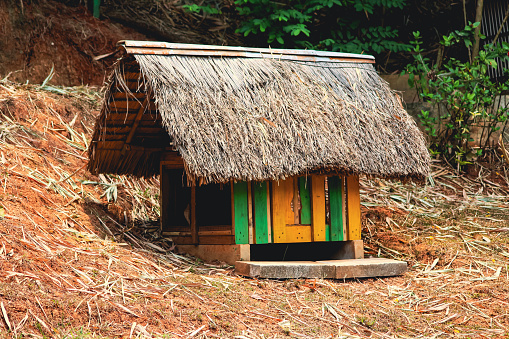 Pet cages are in the form of huts.