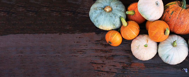 Autumn multicolored pumpkins for Thanksgiving and Halloween, on the background of a dark wood table, shot right from above, space for text, Autumn decor, postcard