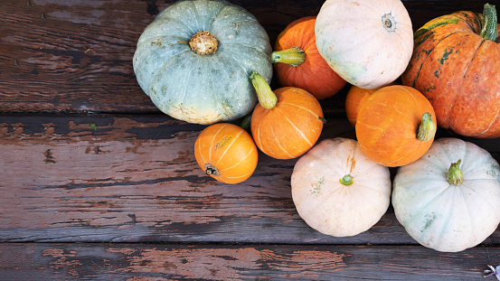 Autumn multicolored pumpkins for Thanksgiving and Halloween, on the background of a dark wood table, shot right from above, space for text, Autumn decor, postcard