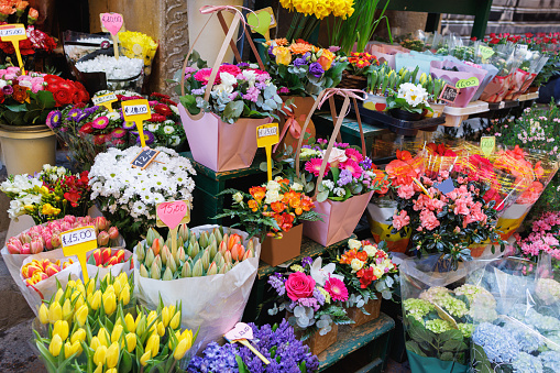 Variety of beautiful flowers in pots on the traditional street market in Bologna, Italy