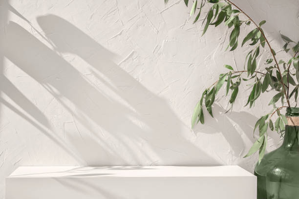 istock White empty concrete textured wall and podium stage background, green glass vase with plants, neutral sustainable natural brand product showcase template, mock up with copy space 1690149558