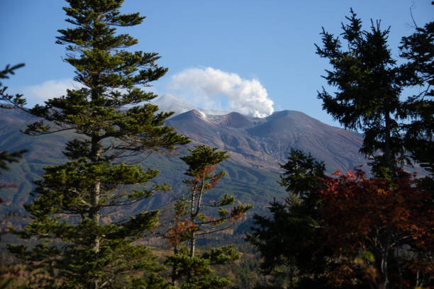 Free Stock Photo of Mountain Range With Trees in Foreground | Download ...