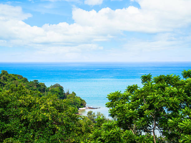 istock Sea Ocean Blue Water Horizon Tree View Texture Summer Background, Calm Wave Surface Shore Forest Mountain Summer Still Cloud Light Day, Sand Beach Coast Landscape Beauty Tropical Island 1690189612