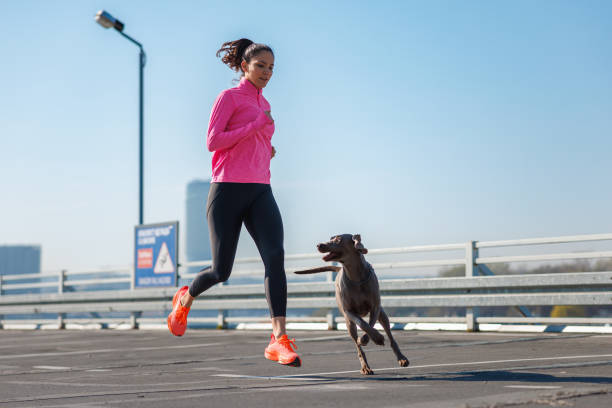 istock Active young woman jogging on empty parking lot on a clear day with her dog 1690217145