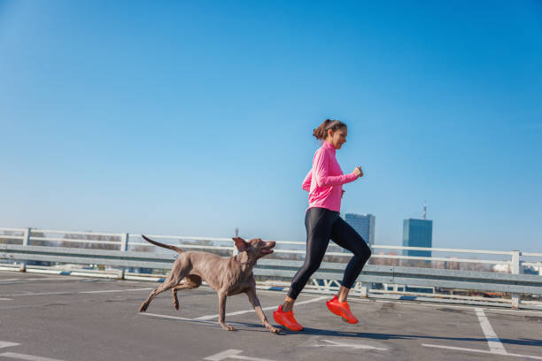 istock Active young woman going for a run with her dog, empty parking lot on clear morning 1690224770