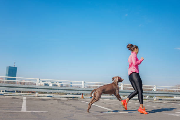 istock Active young woman jogging with her dog, empty parking lot on clear morning 1690224788