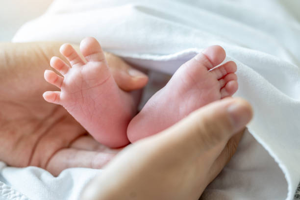 istock Newborn baby 1690283760