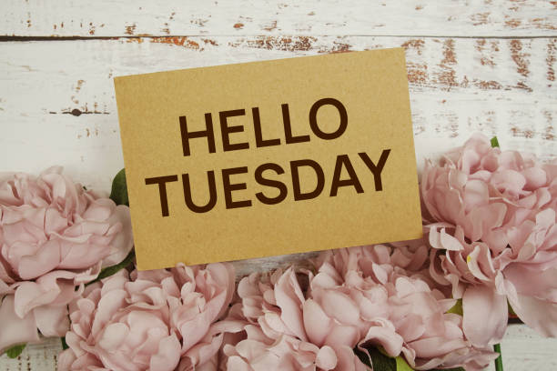 istock Hello Tuesday text message with flower decoration on wooden background 1690293030