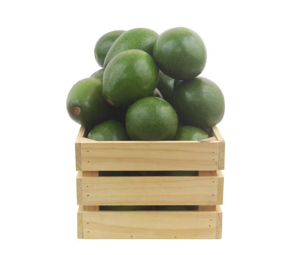 istock Avocado in wooden crate isolated on white 1690294115