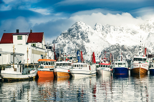 Calm waters mirror a scenic Alaskan marina, featuring sailboats and a snowy mountain backdrop
