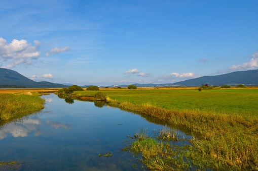 Clear day at dry lakebed intermittent karst Cerknica lake in Notranjka, Slovenia