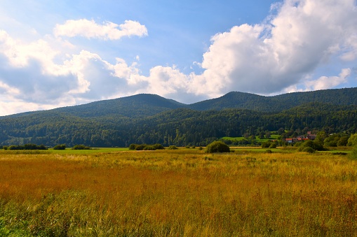 Forest covered Javorniki mountains above dry intermittent karst Cerknica lakebed in Notranjska, Slovenia