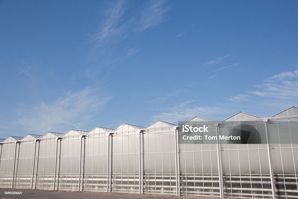 Estufas contra o céu azul - Foto de stock de Agricultura royalty-free