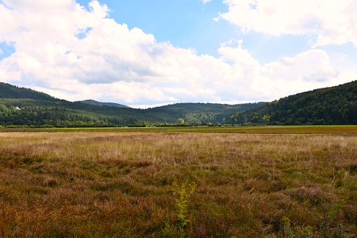 Forest covered hills around polje at intermittent karst dry Cerknica lakebed in Notranjska, Slovenia