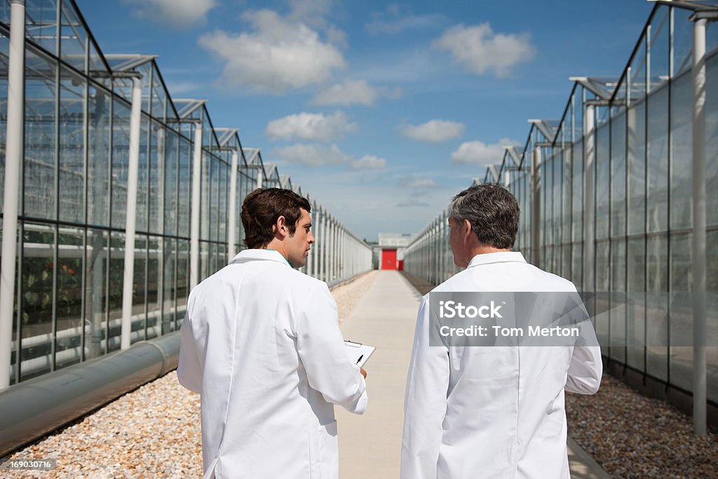 Os cientistas caminhando entre estufas - Foto de stock de Cientista royalty-free