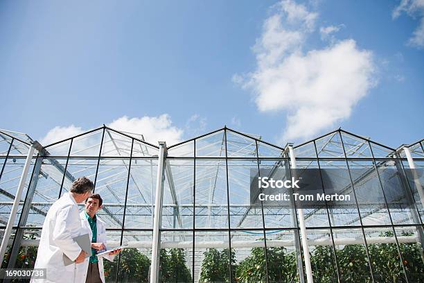 Foto de Os Cientistas Falando Do Lado De Fora e mais fotos de stock de Estufa - Estufa, Cientista, 25-30 Anos