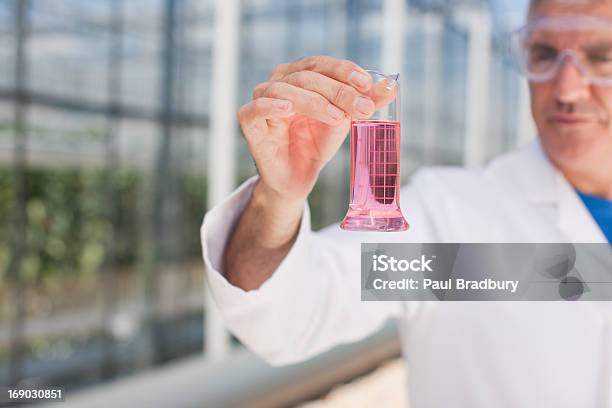 Scientist Examining Contents Of Test Tube Outdoors Stock Photo - Download Image Now - 50-54 Years, Adult, Adults Only