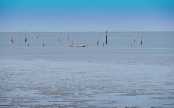 istock Scenery of the tidal flats 1690327586