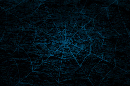 Blank empty Halloween backgrounds with cobweb in dark blue tone. Apt for use as spooky backdrops, wallpapers, posters, banners, cards design and templates. There is no text, no people and copy space.