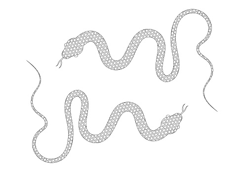 Black and White Snake Vector Illustration. Coloring Page of Two Snakes