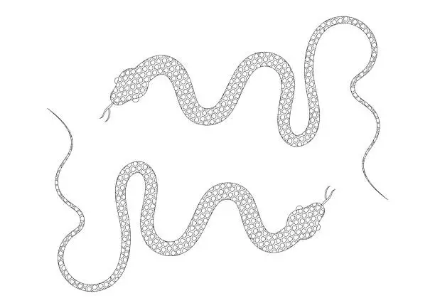 Vector illustration of Black and White Snake Vector Illustration. Coloring Page of Two Snakes