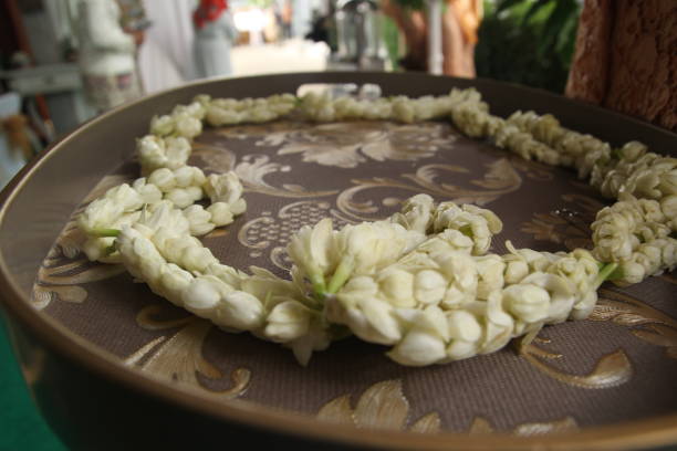 istock jasmine strung into a necklace on a tray 1690426876