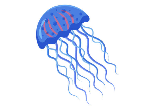 istock Blue jellyfish cartoon character vector illustration isolated on white background 1690429498