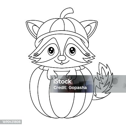 istock A raccoon in the pumpkin coloring book. Coloring page. Black and white vector illustration. Happy Halloween 1690431808
