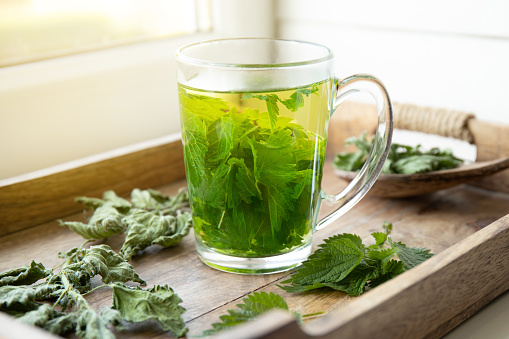 Herbal tea made of dry Urtica dioica, known as common nettle, burn nettle or stinging nettle leaves in clear glass cup. In home kitchen by the window.