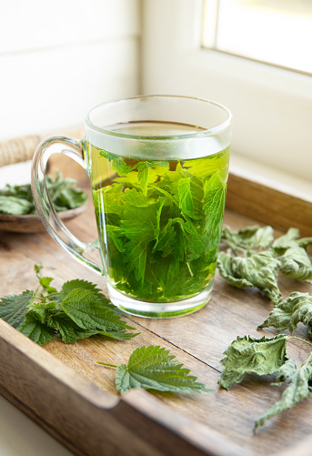 istock Herbal tea made of dry Urtica dioica, known as common nettle, burn nettle or stinging nettle leaves in clear glass cup. In home kitchen by the window. 1690432939