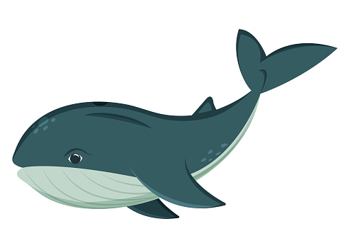 Ocean blue whale cartoon character vector illustration isolated on white background