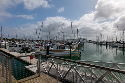 Westhaven Marina in Central Auckland, New Zealand