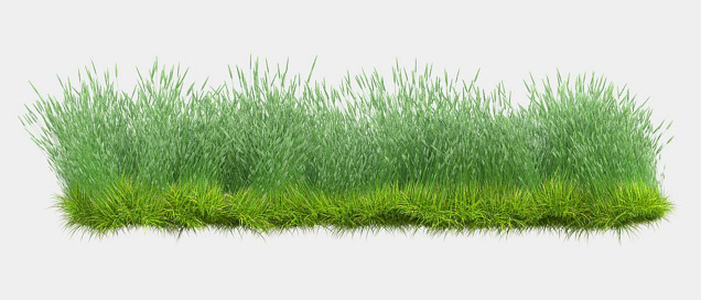 Background illustration of green field of grass with flowers. 3D rendering. Useful for commercial banners and print - Illustration
