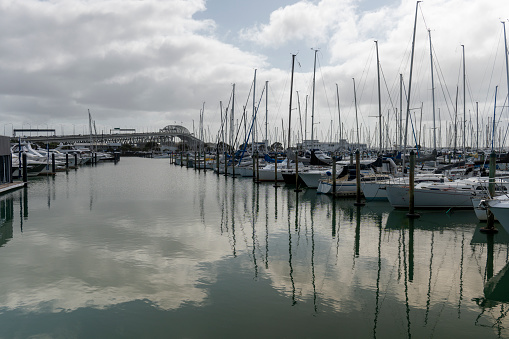 Westhaven Marina in Central Auckland, New Zealand