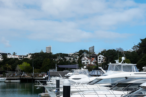 Westhaven Marina in Central Auckland, New Zealand