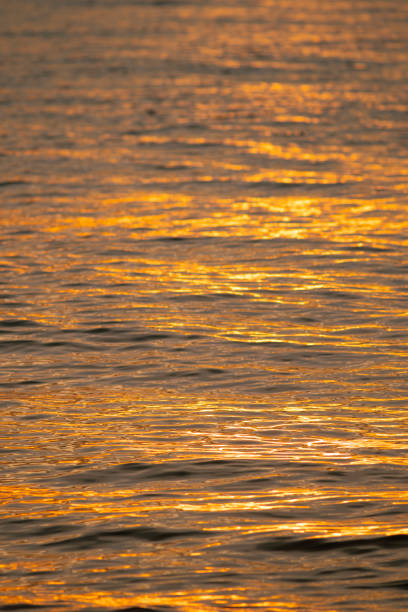 istock Golden light reflects on the water surface 1690477401