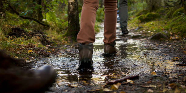 Couple walking in the rainy day