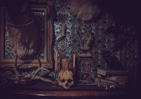 A human skull with candles surrounding it sits in the middle of an altar complete with a crystal ball, stacked books, a crow and magpie taxidermy. A sickle, jawbone etc can be seen as well