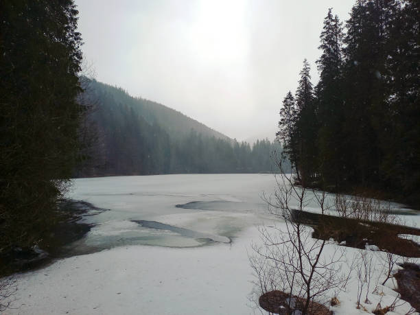 A frozen river between mountains and trees Under the mist and mystical sky. Winter cold landscape